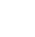 Quality Icon